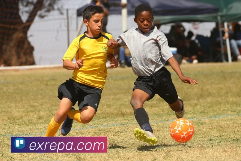 数据防护可视化